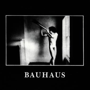 Bauhaus -  In The Flat Field